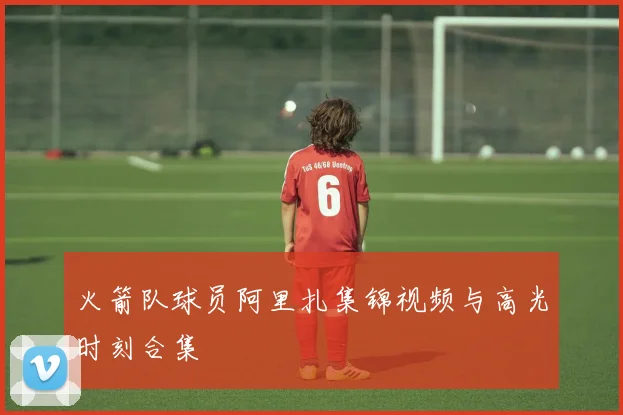 火箭队球员阿里扎集锦视频与高光时刻合集