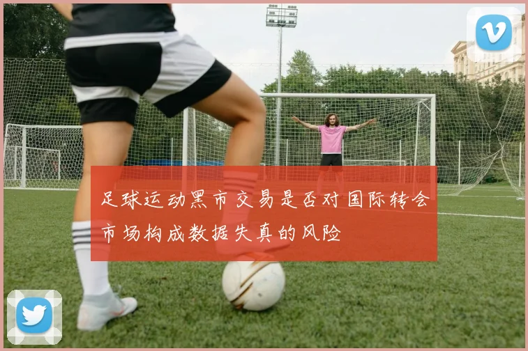 足球运动黑市交易是否对国际转会市场构成数据失真的风险
