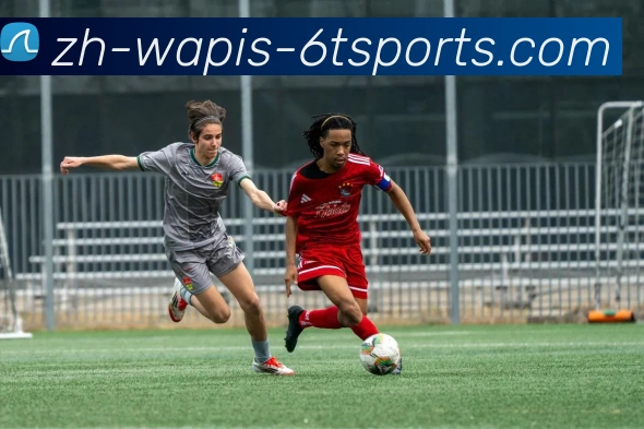 6T体育发展历程